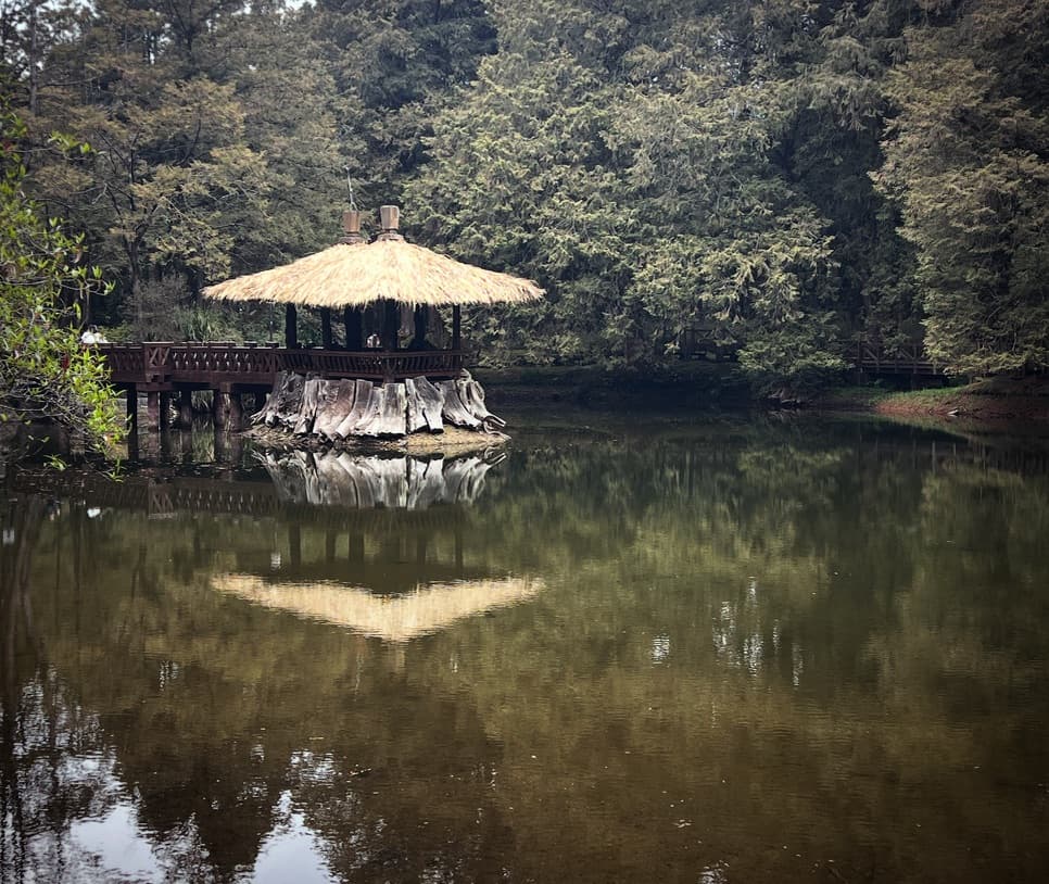 Sister Ponds at Alishan — twin reflective ponds in the cypress forest