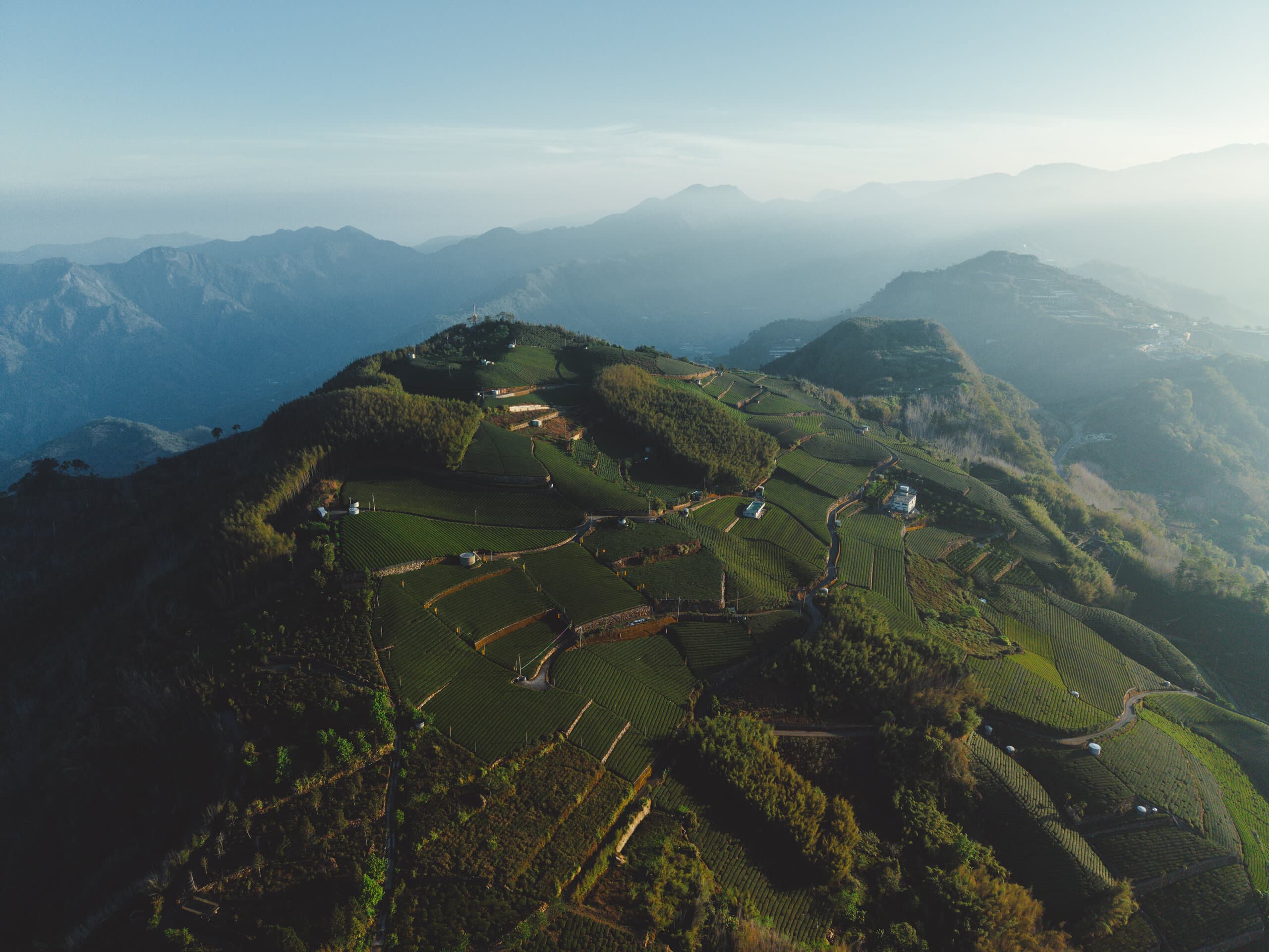Tea terraces on the slopes of Alishan above Shizhuo