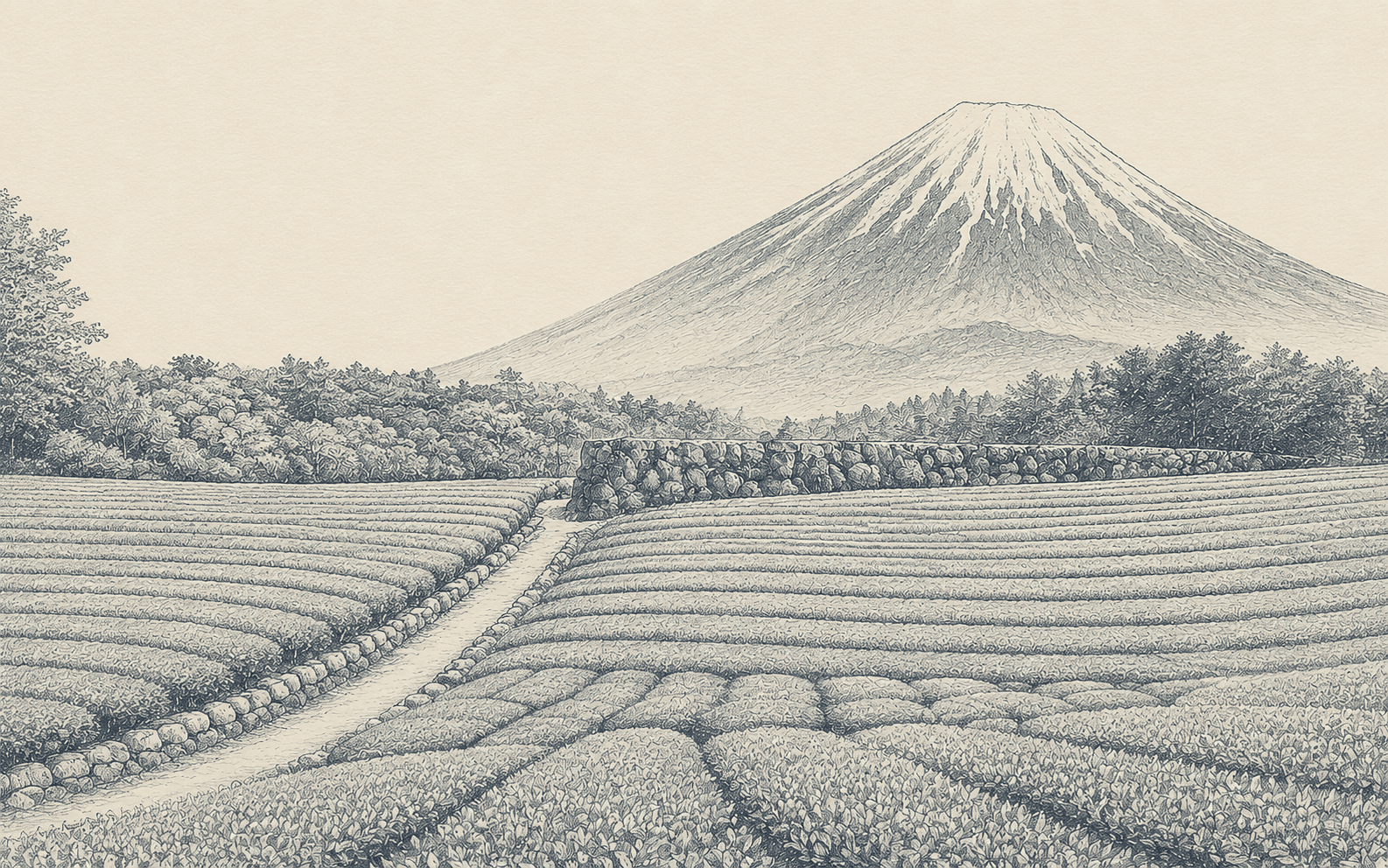 Mount Fuji